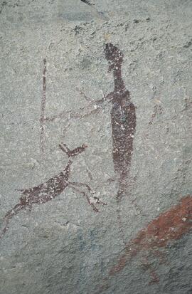 RARI RSA UMN1 31