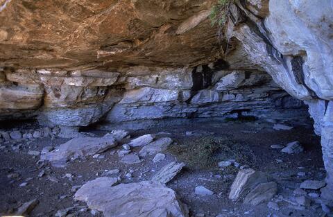 Open original Digital object