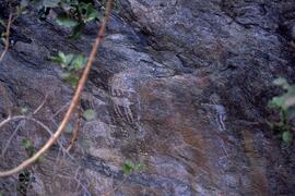 TAN SOE1 8