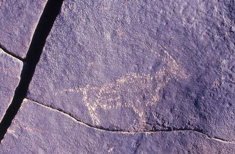 Open original Digital object