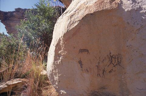 Open original Digital object