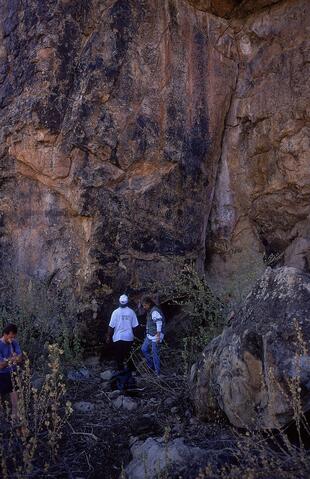 Open original Digitaal object