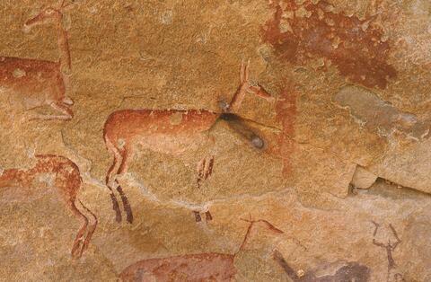 Open original Digital object