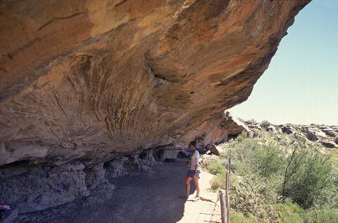 Open original Digital object