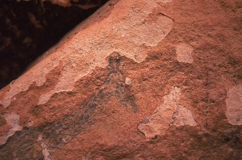 Open original Digitaal object