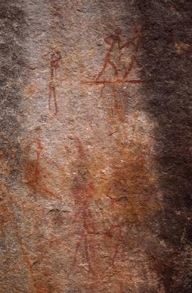 ZIM SHU1 14