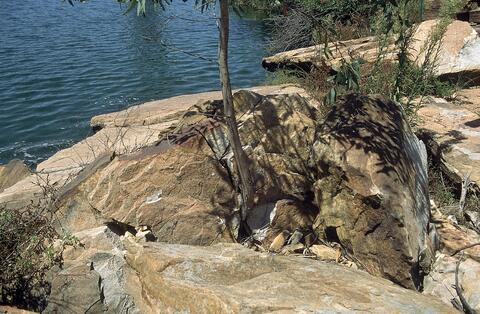 Open original Digital object