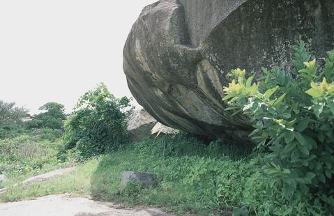 Open original Digital object