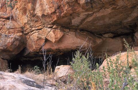 Open original Digital object