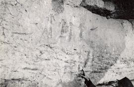 RSA HAA1 5P