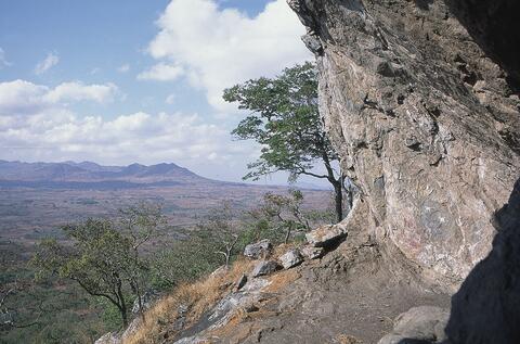 Open original Digital object