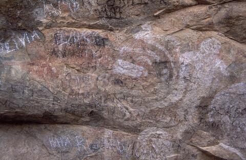 Open original Digital object