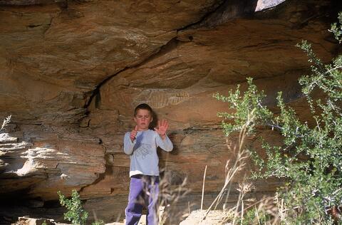 Open original Digital object