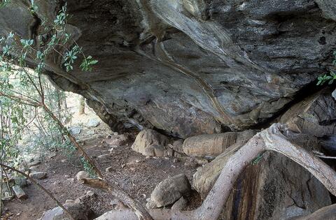 Open original Digital object