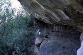 RSA PRY1 3