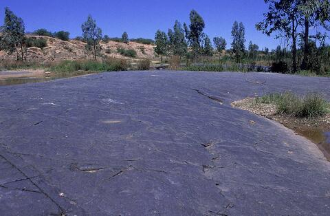 Open original Digital object