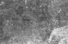 RSA STK1 37P
