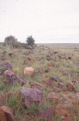 RARI RSA WIB1 402