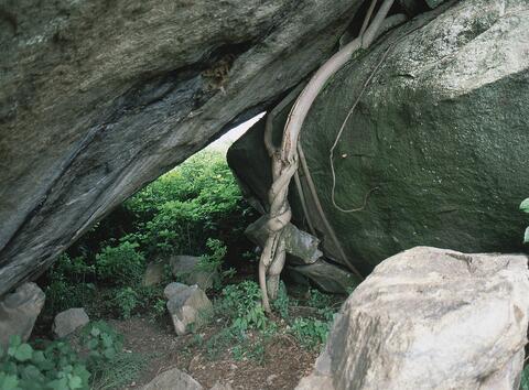 Open original Digital object