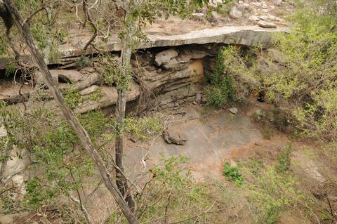 Open original Digital object