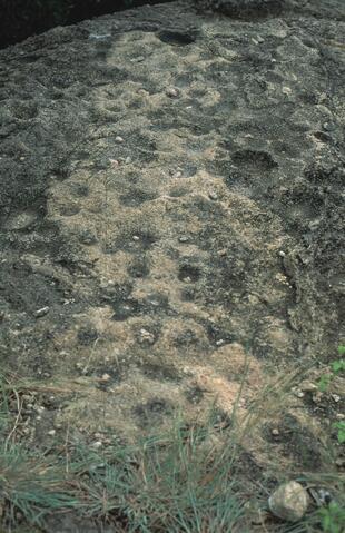 Open original Digitaal object