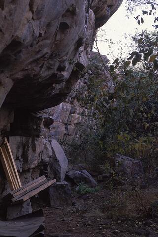 Open original Digital object