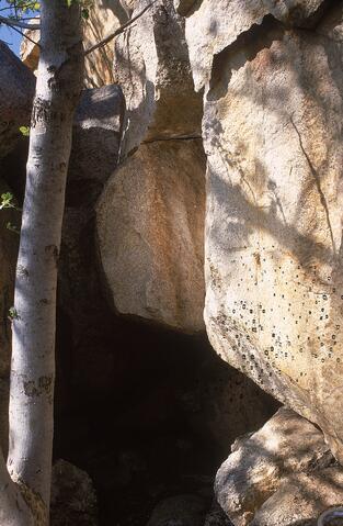 Open original Digital object