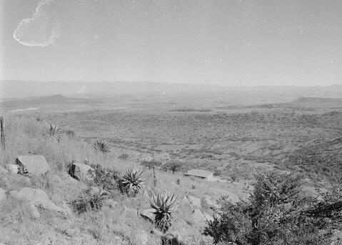 Open original Digitaal object