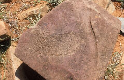 Open original Digitaal object