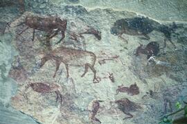 RARI ADN RSA IND3 3