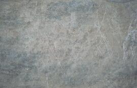 RARI RSA CHA1 189