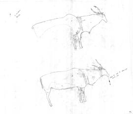 RSA CLO1 17T