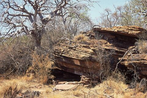 Open original Digital object