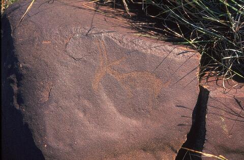 Open original Digital object