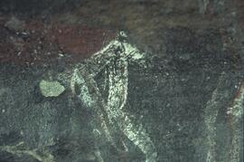 RARI ADN RSA GEE1 5