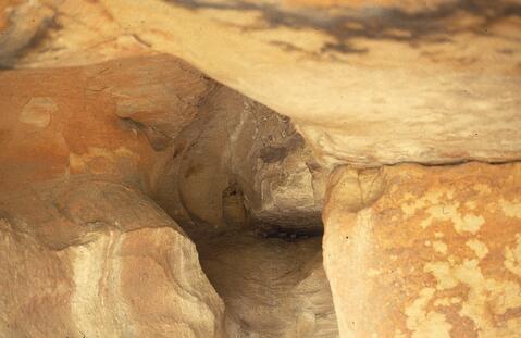 Open original Digitaal object