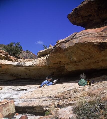 Open original Digital object