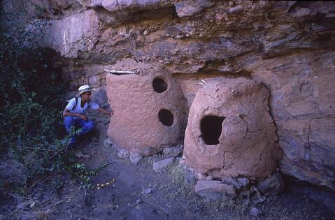 Open original Digital object