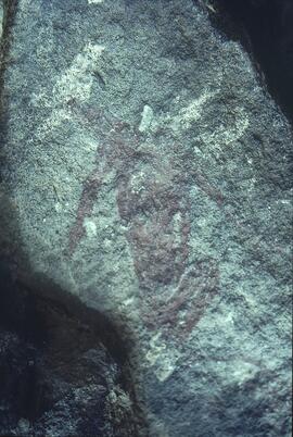 RARI ADN RSA GEE1 8