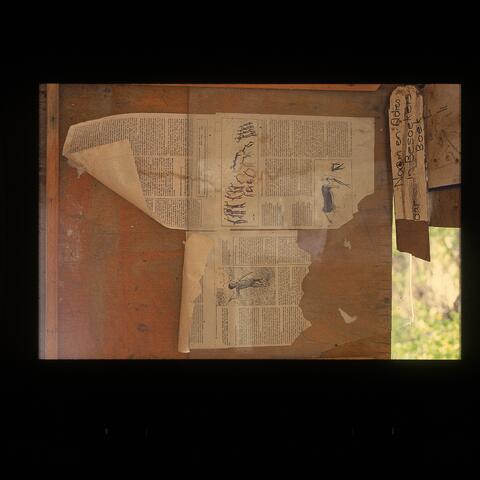 Open original Digital object