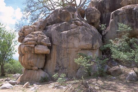 Open original Digital object