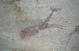RARI RSA UMN1 28