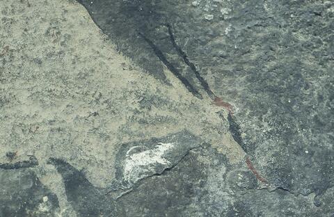 Open original Digitaal object