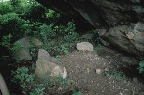 Open original Digital object