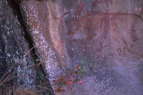 Open original Digital object