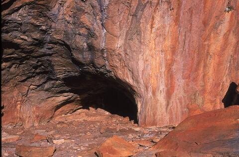 Open original Digital object