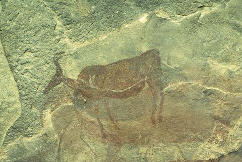 Open original Digital object