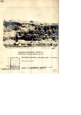 VRL CUT 029