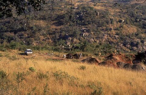 Open original Digital object