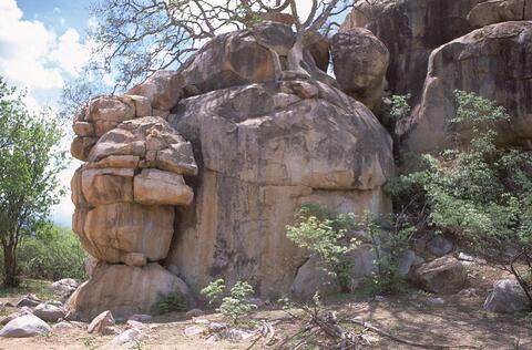 Open original Digital object